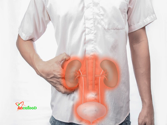 công dụng của râu ngô
